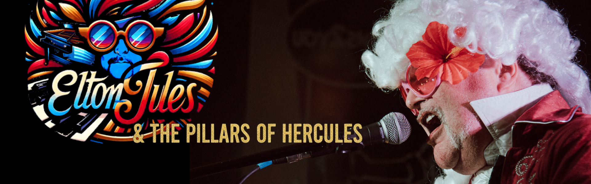 Elton Jules Banner